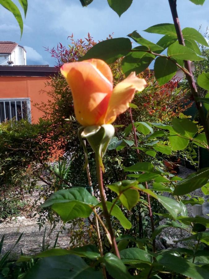 B&B Antica Corte Lombarda Mortara Esterno foto