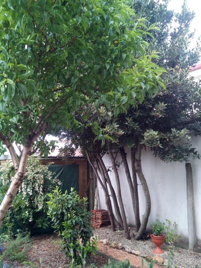 B&B Antica Corte Lombarda Mortara Esterno foto