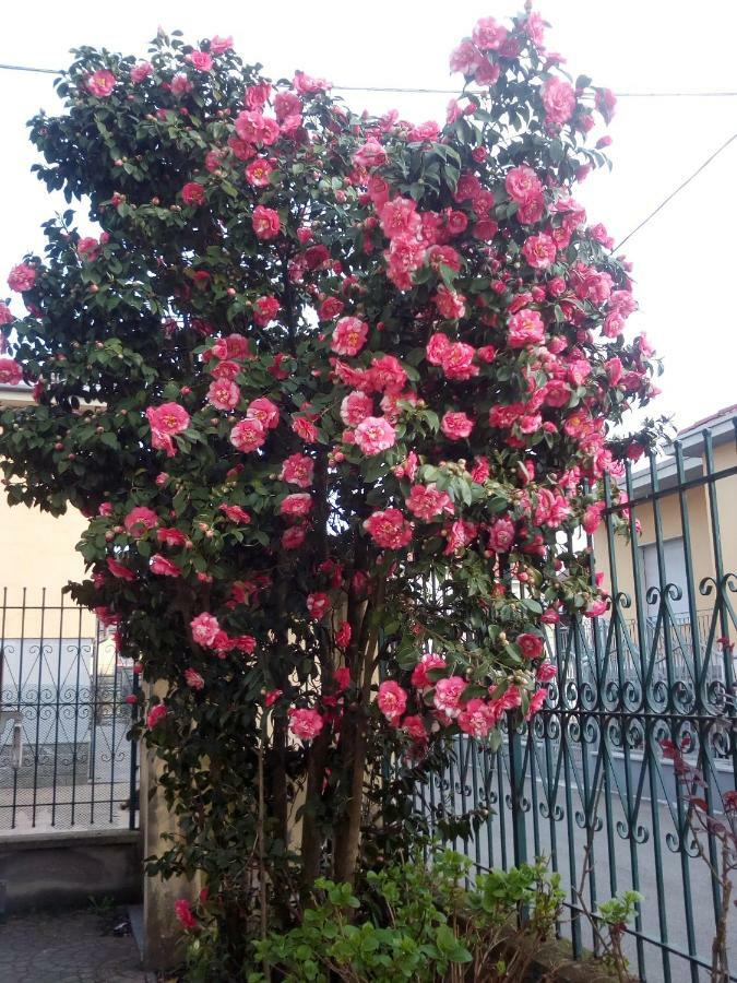 B&B Antica Corte Lombarda Mortara Esterno foto